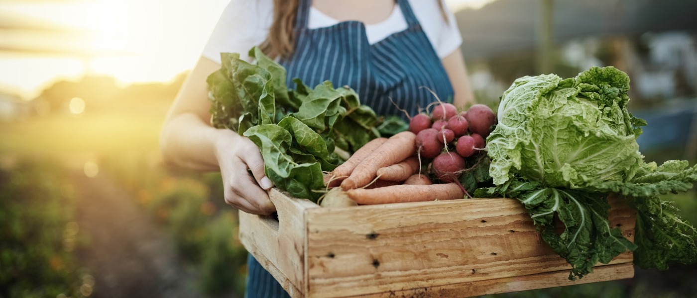 autumn-harvest-picture-id1097842636